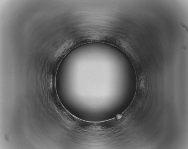 X0000103310685200809051545