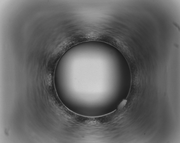 X0000103310689200809051545