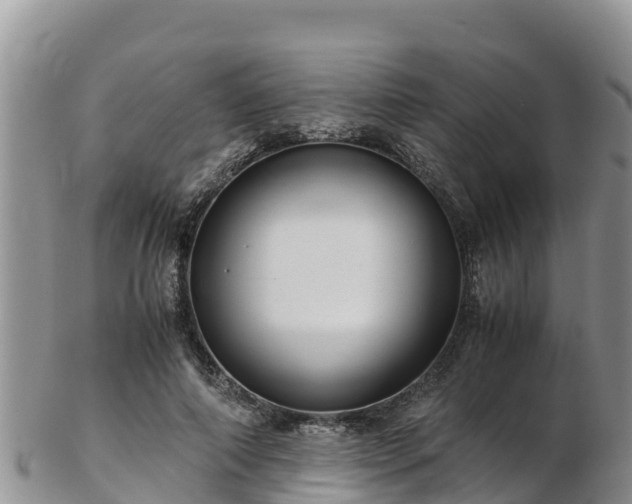 X0000103310690200809051545