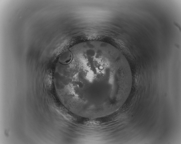 X0000103310691200809051545