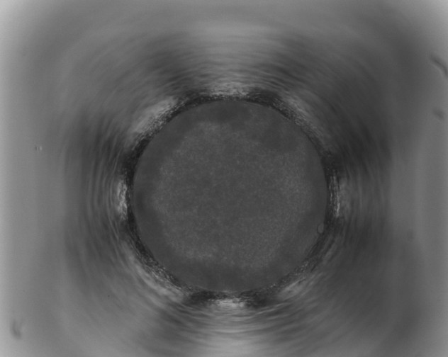 X0000103310692200809051545