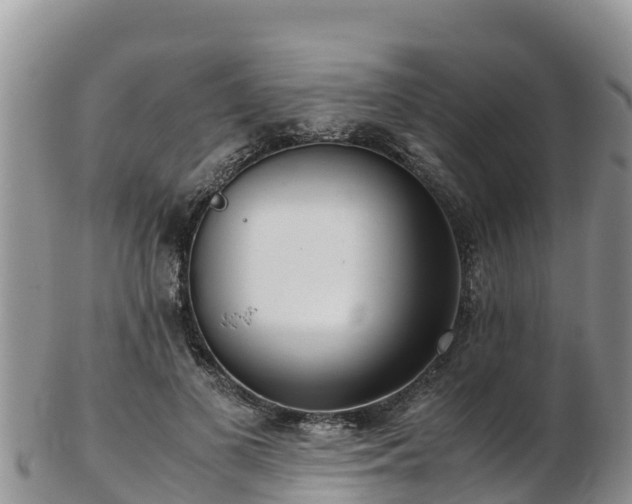 X0000103310693200809051545