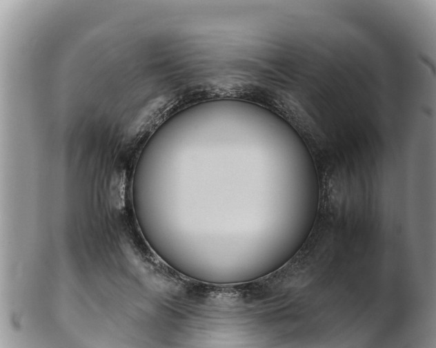 X0000103310694200809051545