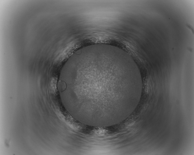X0000103310695200809051545