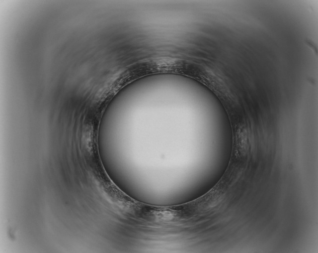 X0000103310698200809051545