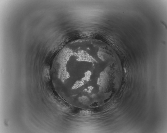 X0000103310699200809051545