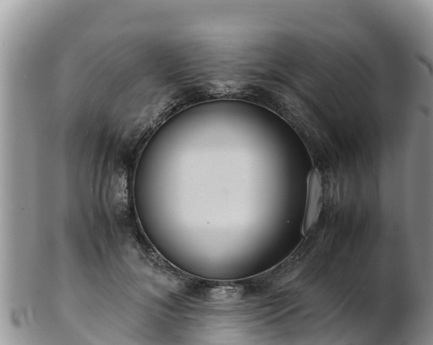 X0000103310700200809051545