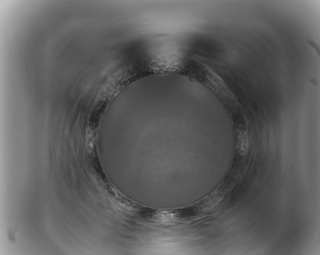 X0000103310701200809051545