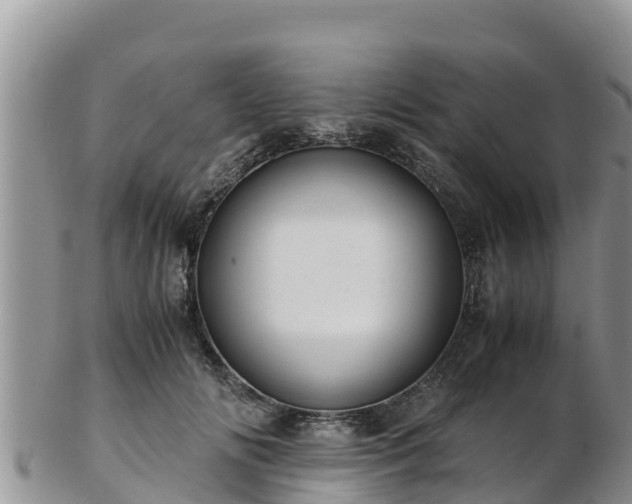 X0000103310702200809051545