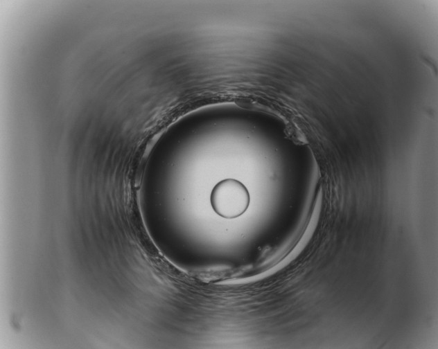 X0000103310704200809051545
