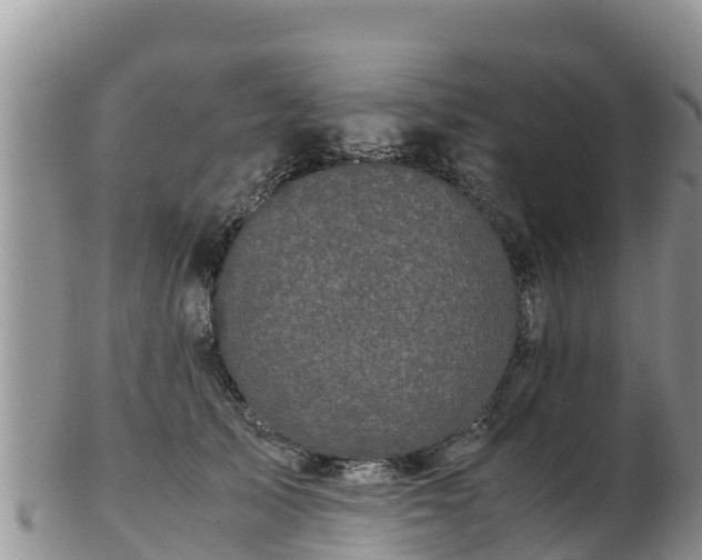 X0000103310705200809051545