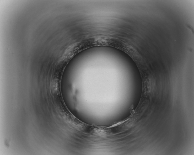 X0000103310706200809051545