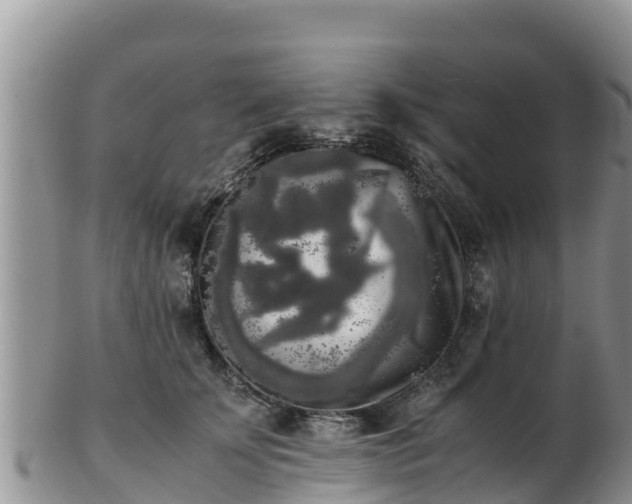 X0000103310707200809051545