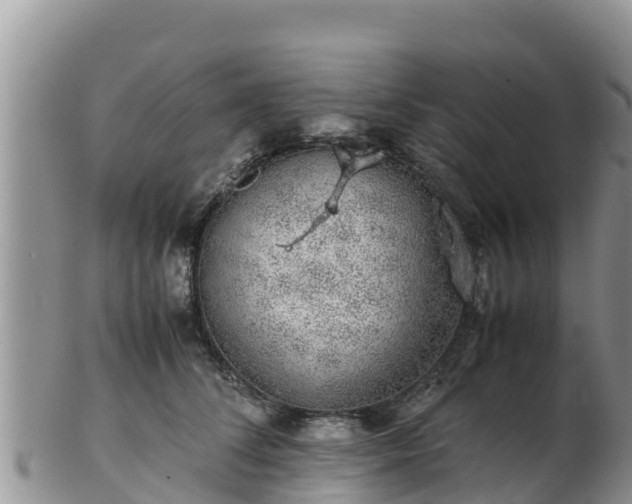 X0000103310708200809051545