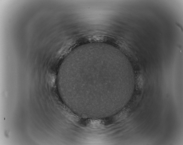 X0000103310709200809051545