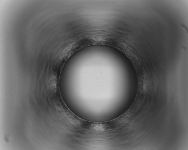 X0000103310710200809051545
