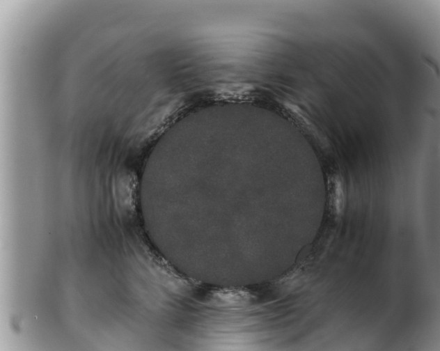 X0000103310712200809051545
