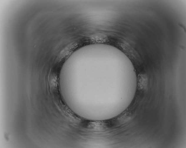 X0000103310713200809051545