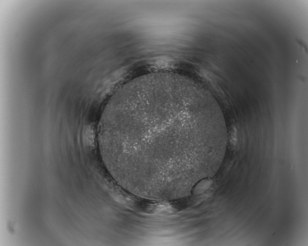 X0000103310715200809051545