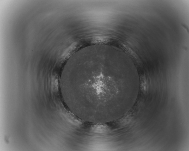 X0000103310716200809051545