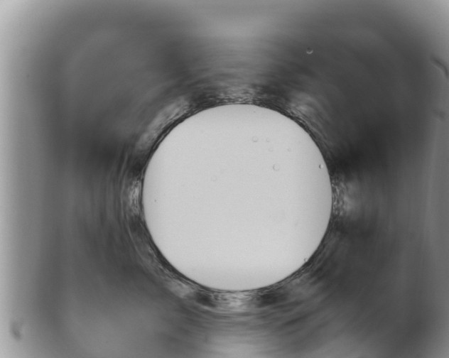 X0000103310717200809051545