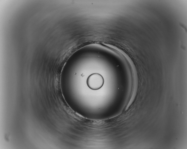 X0000103310720200809051544