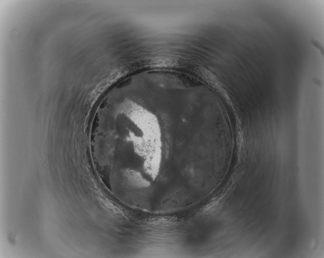 X0000103310721200809051544