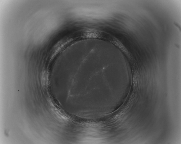 X0000103310722200809051544