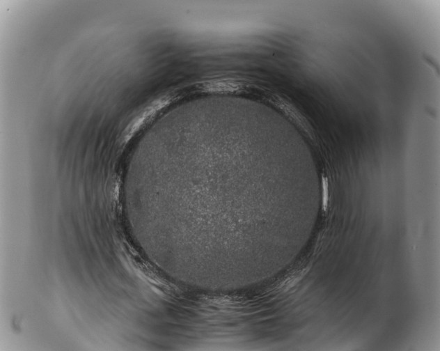 X0000103310723200809051544