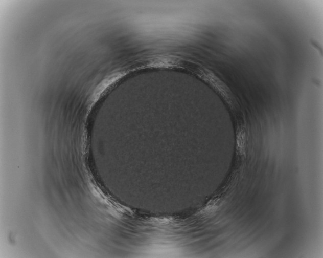 X0000103310724200809051544