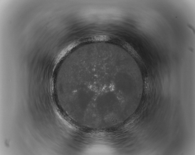 X0000103310726200809051544