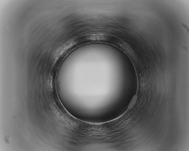 X0000103310727200809051544