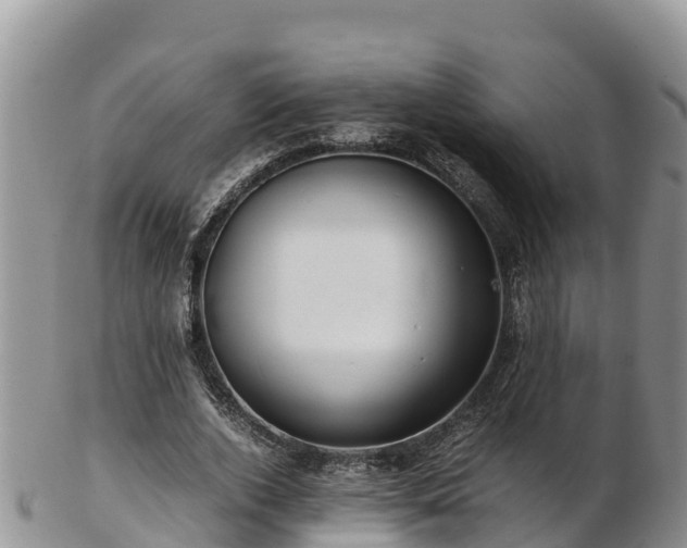 X0000103310728200809051544