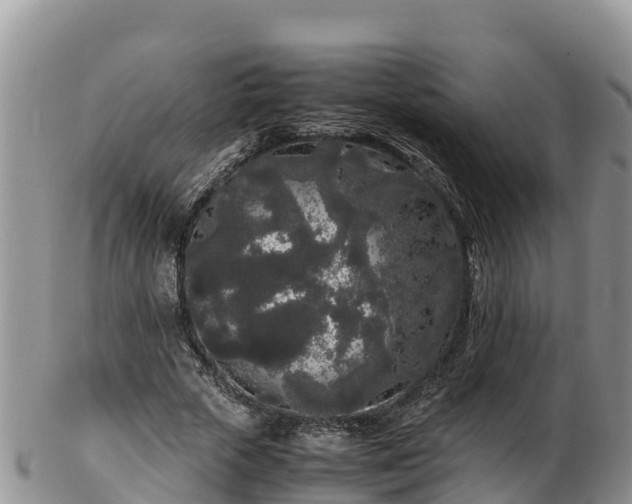 X0000103310729200809051544