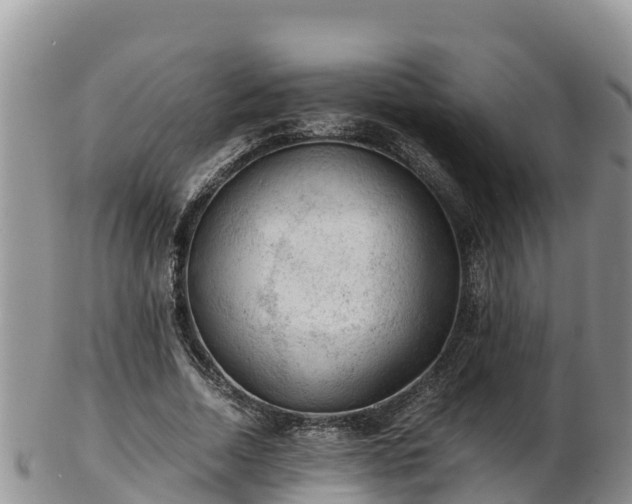 X0000103310730200809051544