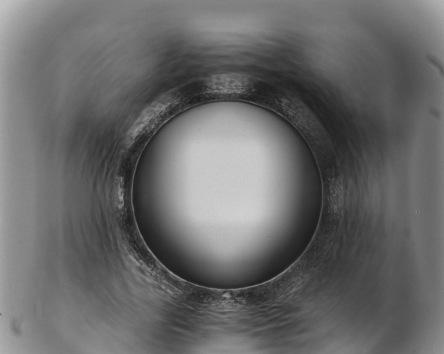 X0000103310731200809051544