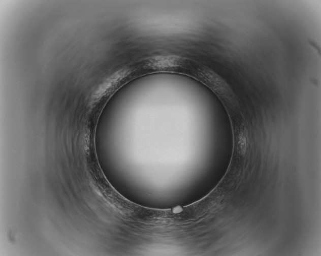 X0000103310732200809051544