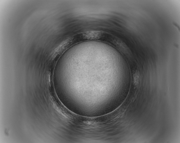 X0000103310733200809051544