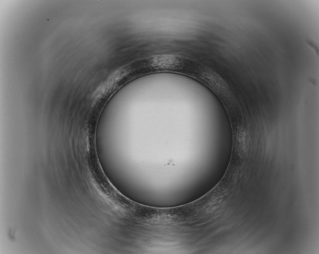 X0000103310734200809051544