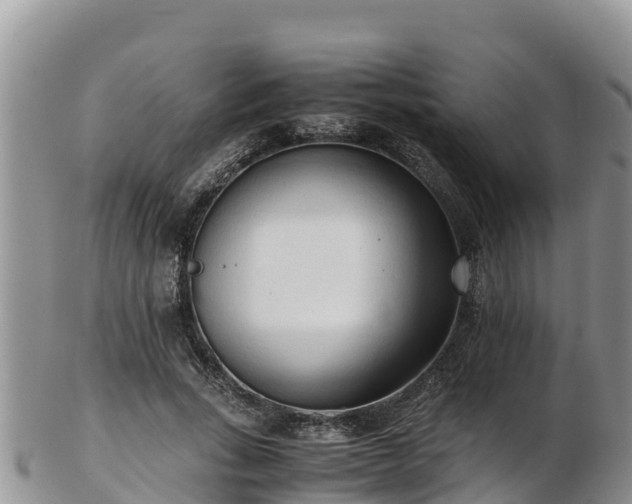 X0000103310735200809051544
