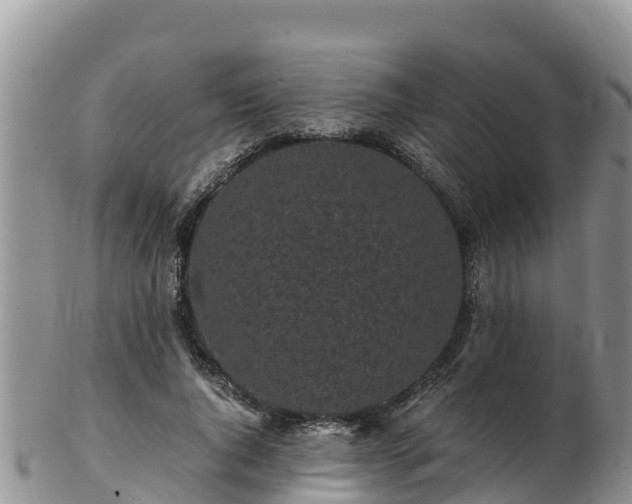 X0000103310736200809051544