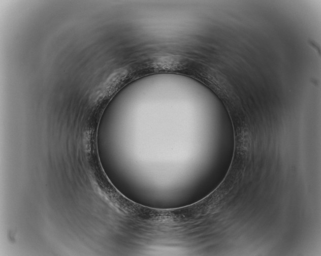 X0000103310738200809051544