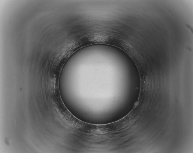 X0000103310739200809051544