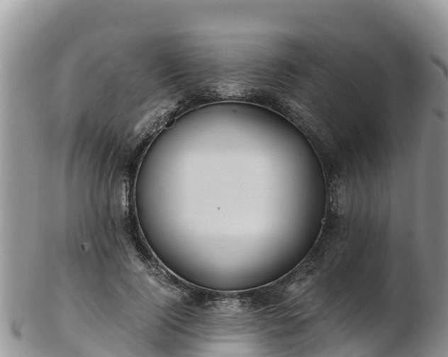 X0000103310740200809051544