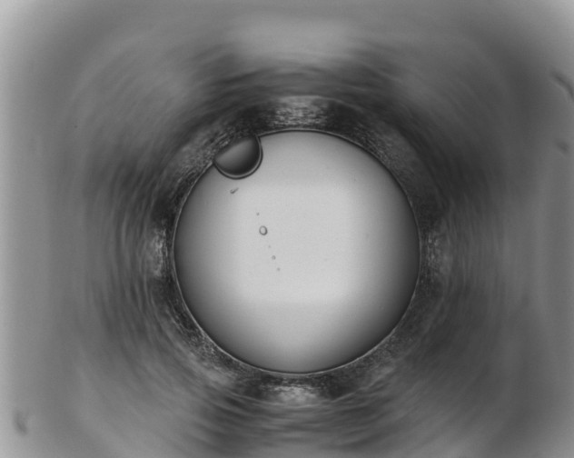 X0000103310741200809051544
