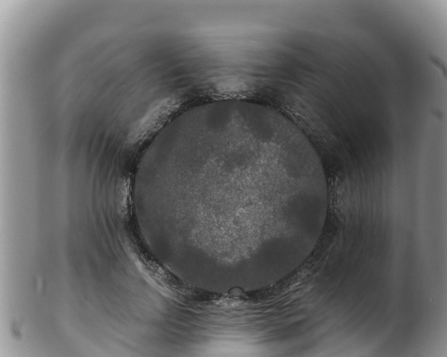 X0000103310742200809051544