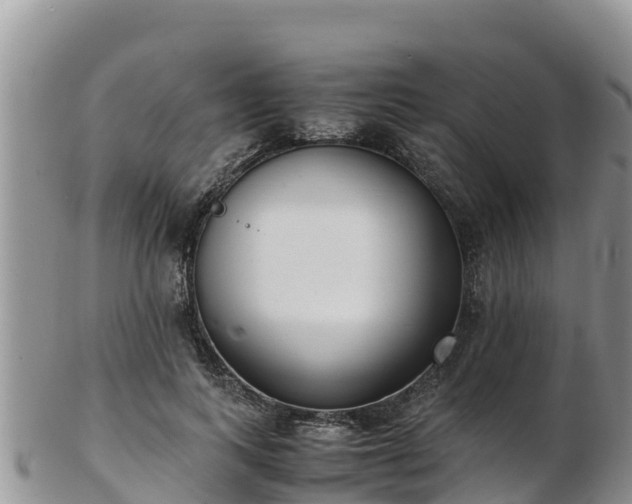 X0000103310743200809051544