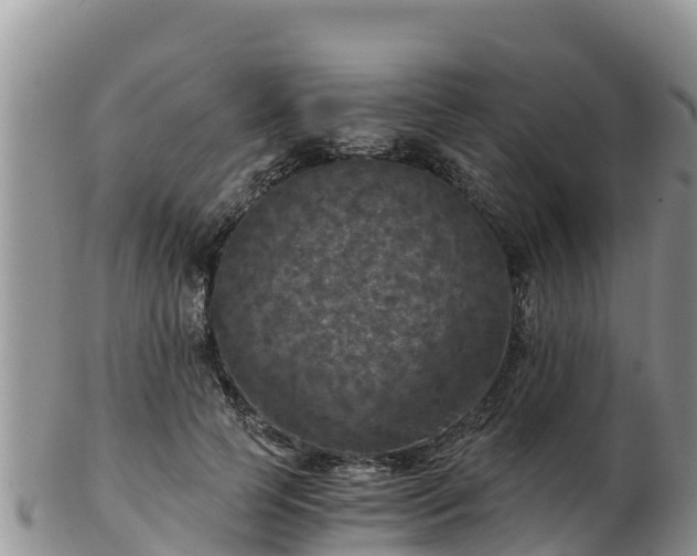 X0000103310745200809051544
