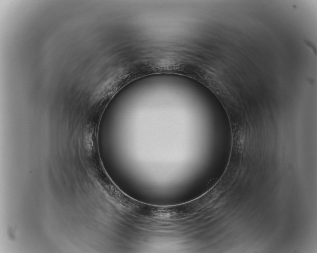 X0000103310746200809051544