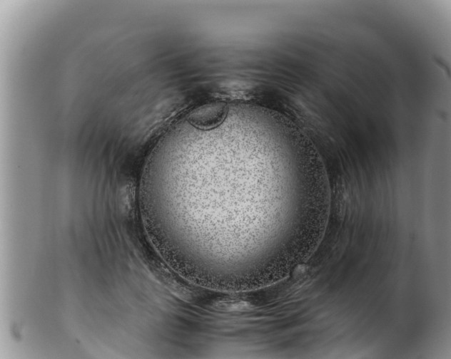 X0000103310747200809051544